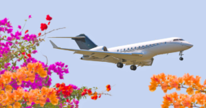 Private jet flying in the spring