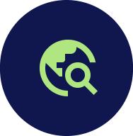 Search Icon