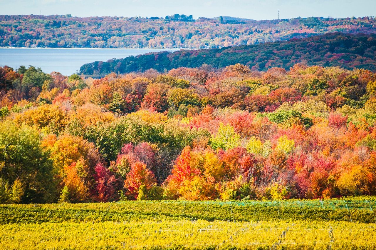 Image of city Traverse City, MI